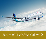 ガルーダ・インドネシア航空