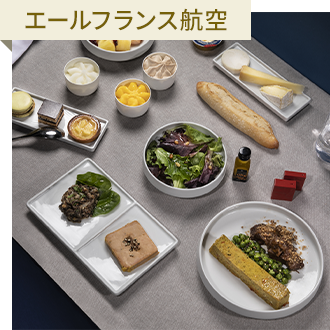 ガルーダインドネシア航空
