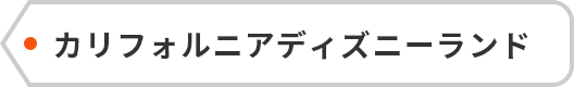 カリフォルニアディズニーランド