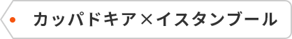 カッパドキア×イスタンブール