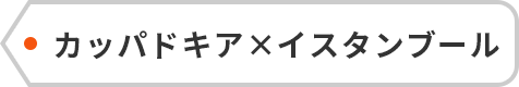 カッパドキア×イスタンブール