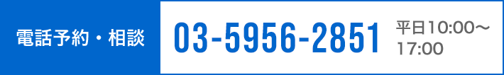 電話予約・相談 03-5956-2851