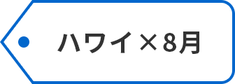 ハワイ×8月