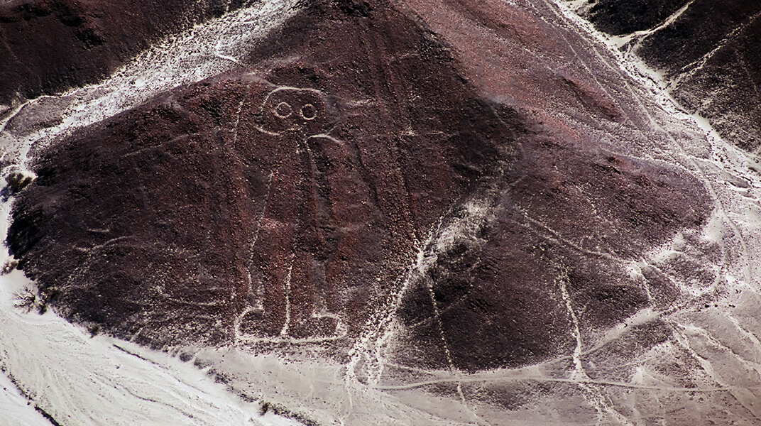 ナスカとパルパの地上絵の写真2