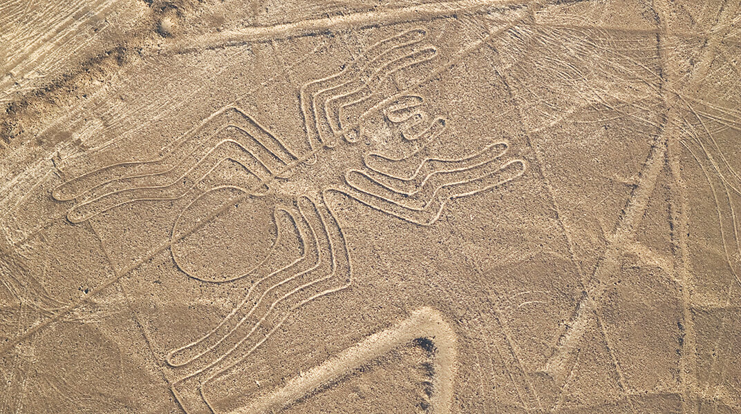 ナスカとパルパの地上絵の写真3